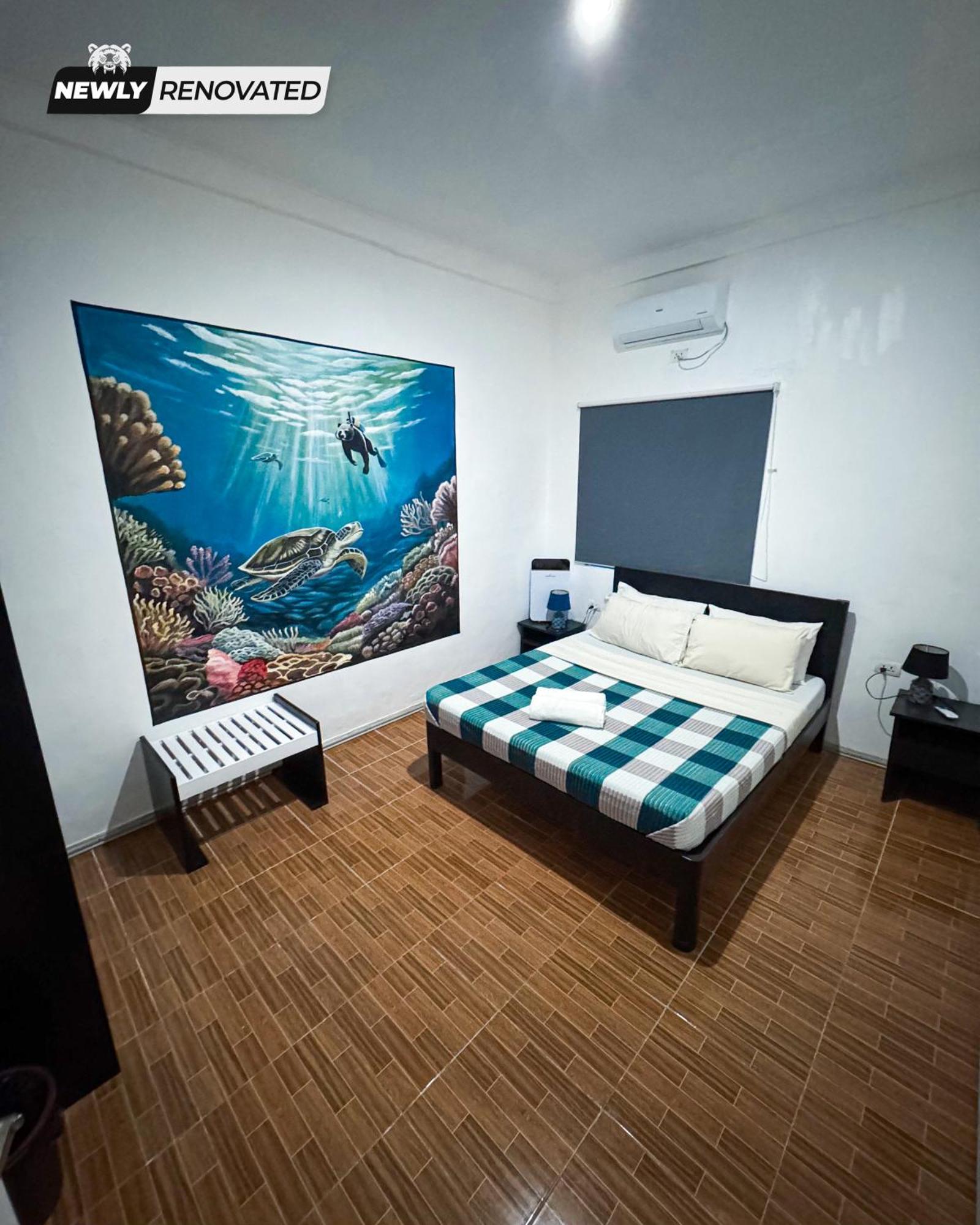Crazy Bears Hostel モアルボアル エクステリア 写真