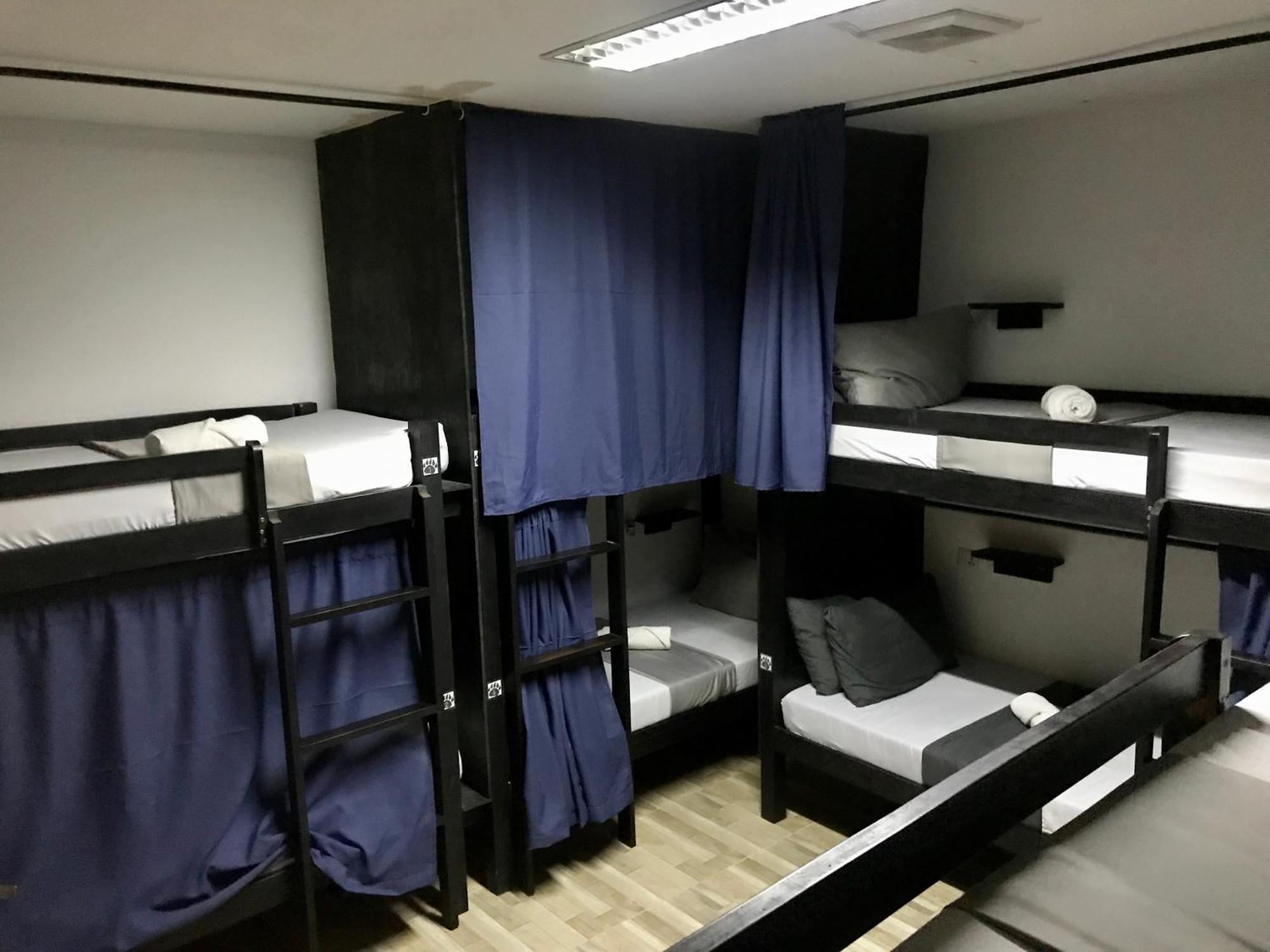 Crazy Bears Hostel モアルボアル エクステリア 写真