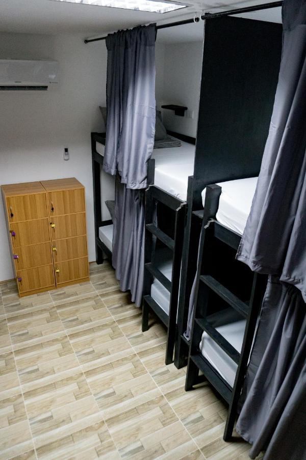 Crazy Bears Hostel モアルボアル エクステリア 写真